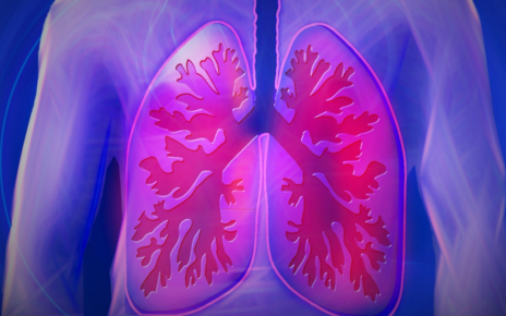 lungs